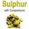 Leaders for the Use of Sulphur with comparisons By E B NASH