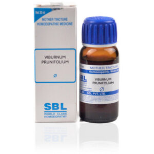 Viburnum-Prunifolium-sbl