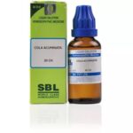 Cola-Acuminata-sbl