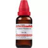 Conium-Maculatum-schwabe
