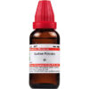 Ledum-Palustre-schwabe