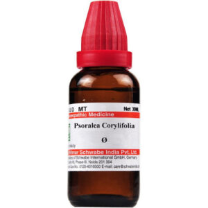Psoralea-Corylifolia-schwabe