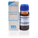 Rumex-Acetosa-sbl