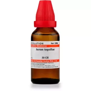 SERUM ANGUILLAE