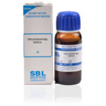 Trichosanthes-Dioica q - sbl