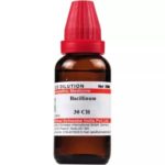 BACILLINUM