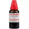 Boerhavia-Diffusa-schwabe