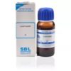 Cantharis-sbl