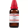 CHELONE-GLABRA