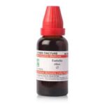 EMBELIA RIBES