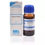 Aconitum-Ferox-sbl