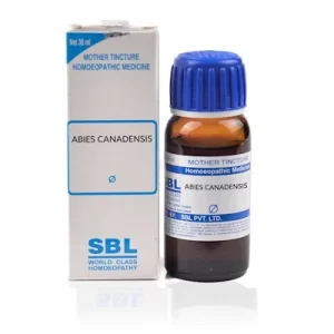 Sbl-Abies-Canadensis-Homeopathy-Mother-Tincture-Q