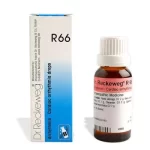 Reckweg66 - 22ml drops