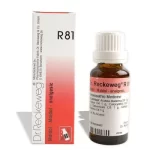 Reckweg81 - 22ml drops
