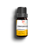 CYDONIA VULGARIS