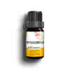 PHYTOLACCA-BERRY-6-CH