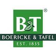 b and t logo