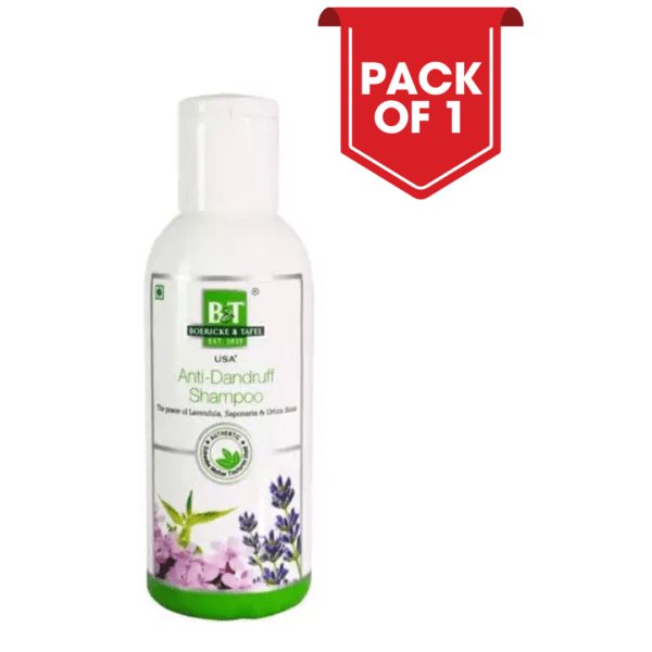 Boericke and Tafel Anti-Dandruff Shampoo